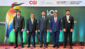 Լոնդոնի կլիմայական գործողությունների շաբաթ